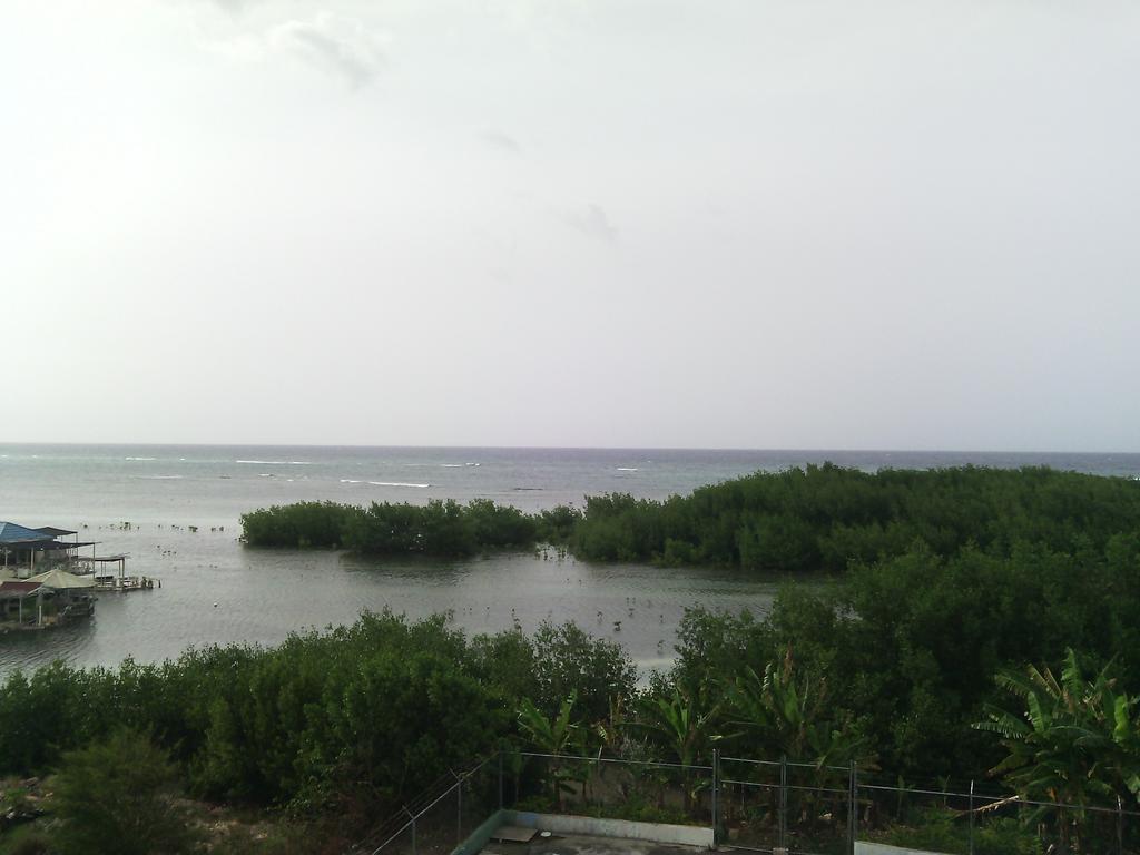 Hotel Tropik Leadonna Montego Bay Buitenkant foto